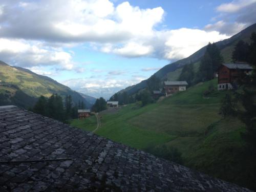 89 Weekend-Sage-1 3264x2448